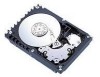 Troubleshooting, manuals and help for Fujitsu CA06227-B400 - Allegro 73.5 GB Hard Drive