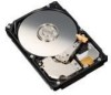 Troubleshooting, manuals and help for Fujitsu MBD2300RC - Enterprise 300 GB Hard Drive