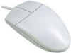 Get support for GE HO97924 - Basic 2 Button Mouse