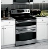 Get support for GE PB970SMSS - Profile - Electric Range