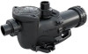 Get support for Hayward PUMP-1.65 HP MAXFLO XE