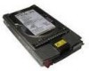 Troubleshooting, manuals and help for HP 250023-B21 - Compaq 73 GB Hard Drive