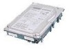 Troubleshooting, manuals and help for HP 271832-B21 - 36.4 GB Hard Drive