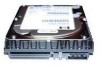 Troubleshooting, manuals and help for HP 311717-B25 - 40 GB Hard Drive
