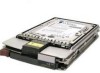 Troubleshooting, manuals and help for HP 339509-B21 - Compaq 9.1 GB Hard Drive