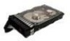 Get support for HP 411276-B21 - 250 GB Hard Drive