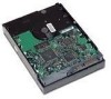 Troubleshooting, manuals and help for HP EU470AV - 40 GB Hard Drive