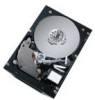Troubleshooting, manuals and help for Hitachi 08K2480 - Ultrastar 10K300 Hard Drive