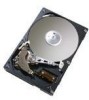 Troubleshooting, manuals and help for Hitachi HDS728080PLAT20 - Deskstar 80 GB Hard Drive
