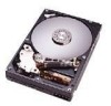 Troubleshooting, manuals and help for Hitachi 0A30366 - Deskstar 250 GB Hard Drive
