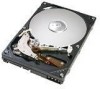 Troubleshooting, manuals and help for Hitachi 0A33491 - CinemaStar 80 GB Hard Drive