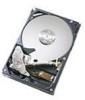 Troubleshooting, manuals and help for Hitachi 0A33513 - CinemaStar 250 GB Hard Drive