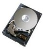 Troubleshooting, manuals and help for Hitachi 0A30755 - Deskstar 40 GB Hard Drive