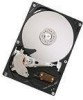 Troubleshooting, manuals and help for Hitachi 0A35389 - Deskstar 160 GB Hard Drive