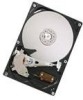 Get support for Hitachi 0A37043 - CinemaStar 250 GB Hard Drive
