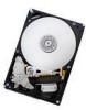 Troubleshooting, manuals and help for Hitachi 0A38028 - Deskstar 1 TB Hard Drive
