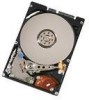 Get support for Hitachi 0A53062 - Travelstar 100 GB Hard Drive