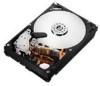 Troubleshooting, manuals and help for Hitachi 0F10311 - Deskstar 2 TB Hard Drive