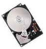 Troubleshooting, manuals and help for Hitachi DK319H-18WC - 18.2 GB Hard Drive