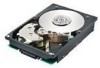 Troubleshooting, manuals and help for Hitachi DK32EJ - Ultrastar Series 36.9 GB Hard Drive