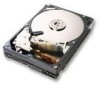 Troubleshooting, manuals and help for Hitachi HDS721010KLA330 - Deskstar 0A34915 7K1000 1 TB SATA Hard Drive