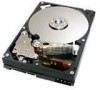 Troubleshooting, manuals and help for Hitachi HDS724040KLAT80 - Deskstar 400 GB Hard Drive
