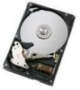 Troubleshooting, manuals and help for Hitachi HDT722520DLAT80 - Deskstar 200 GB Hard Drive
