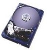 Troubleshooting, manuals and help for Hitachi IC35L030AVV207-0 - Deskstar 30 GB Hard Drive