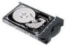 Troubleshooting, manuals and help for IBM 06P5771 - 18.2 GB Hard Drive