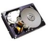Troubleshooting, manuals and help for IBM 07N3240 - Ultrastar 18.2 GB Hard Drive