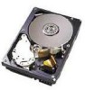 Troubleshooting, manuals and help for IBM 08K0332 - Ultrastar 73.4 GB Hard Drive
