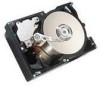Troubleshooting, manuals and help for IBM 09L1492 - Ultrastar 9.1 GB Hard Drive