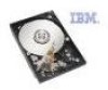 Troubleshooting, manuals and help for IBM 09N0925 - 30 GB - 7200 Rpm