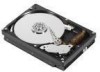 Troubleshooting, manuals and help for IBM 24P3665 - 80 GB Hard Drive