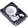 Troubleshooting, manuals and help for IBM 42D0410 - 300 GB Hard Drive