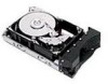 Troubleshooting, manuals and help for IBM 36L9750 - 36.4 GB Hard Drive