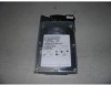 Get support for IBM 40K1024 - 146.4 GB Hard Drive