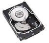 Troubleshooting, manuals and help for IBM 40K6820 - 146.8 GB Hard Drive