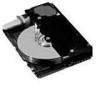 Troubleshooting, manuals and help for IBM 10L6084 - 4.5 GB Hard Drive