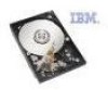 Troubleshooting, manuals and help for IBM 8204 - 9.1 GB Hard Drive