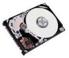 Troubleshooting, manuals and help for IBM DBCA-204860 - Travelstar 4.8 GB Hard Drive