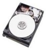 Troubleshooting, manuals and help for IBM IC25N030ATDA04 - Travelstar 30 GB Hard Drive
