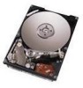 Troubleshooting, manuals and help for IBM IC25N040ATCS04 - Travelstar 40 GB Hard Drive