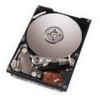 Troubleshooting, manuals and help for IBM IC25T048ATDA05-0 - Travelstar 48 GB Hard Drive