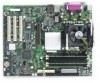Troubleshooting, manuals and help for Intel S875WP1 - EATX MBD 875 P4 DDR-2CH SATA RAID VID GETH