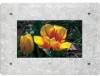Troubleshooting, manuals and help for Kodak 1750298 - Digital Photoframe Decorative Frame