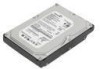 Get support for Lenovo 43N3411 - ThinkPad 320 GB Hard Drive