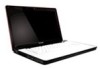 Get support for Lenovo Y550 Laptop