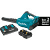 Get support for Makita XBU02PT