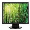 Troubleshooting, manuals and help for NEC AS191 - AccuSync - 19 Inch LCD Monitor